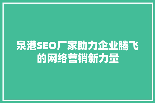 泉港SEO厂家助力企业腾飞的网络营销新力量