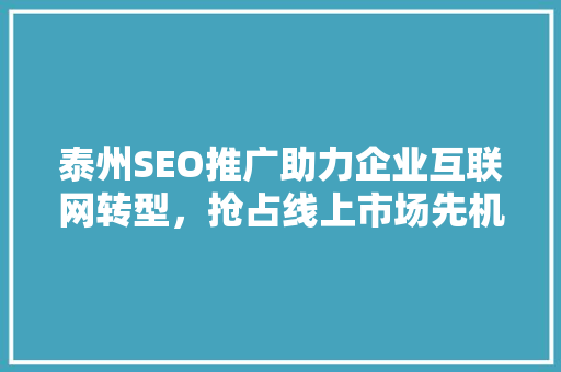 泰州SEO推广助力企业互联网转型，抢占线上市场先机