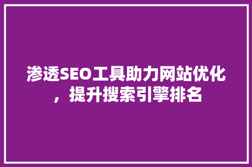 渗透SEO工具助力网站优化，提升搜索引擎排名
