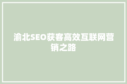 渝北SEO获客高效互联网营销之路