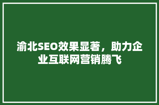 渝北SEO效果显著，助力企业互联网营销腾飞