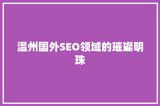 温州国外SEO领域的璀璨明珠