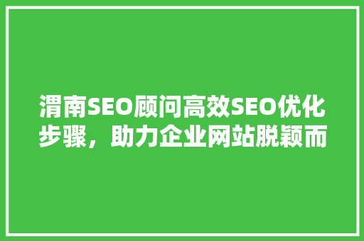 渭南SEO顾问高效SEO优化步骤，助力企业网站脱颖而出