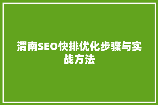 渭南SEO快排优化步骤与实战方法
