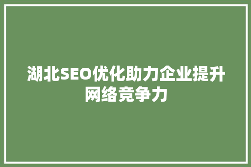 湖北SEO优化助力企业提升网络竞争力