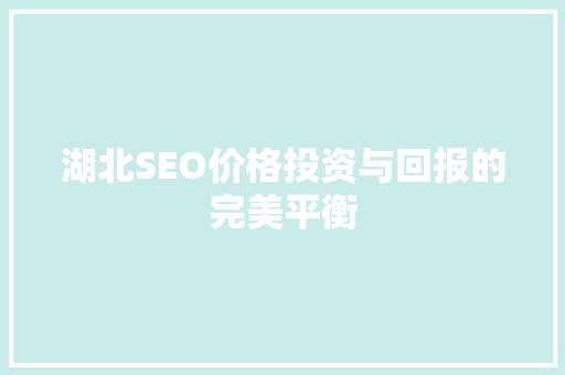 湖北SEO价格投资与回报的完美平衡