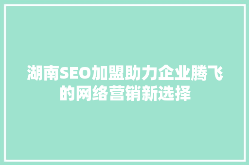 湖南SEO加盟助力企业腾飞的网络营销新选择