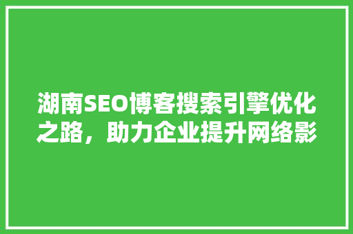 湖南SEO博客搜索引擎优化之路，助力企业提升网络影响力