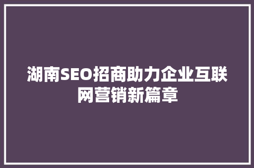 湖南SEO招商助力企业互联网营销新篇章