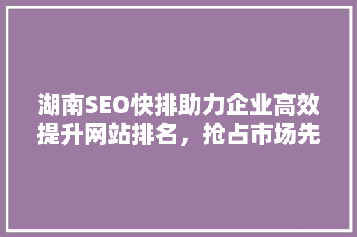 湖南SEO快排助力企业高效提升网站排名，抢占市场先机