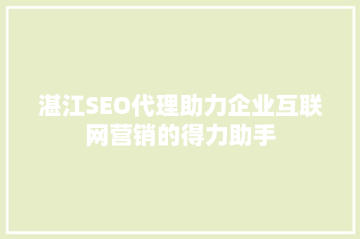 湛江SEO代理助力企业互联网营销的得力助手