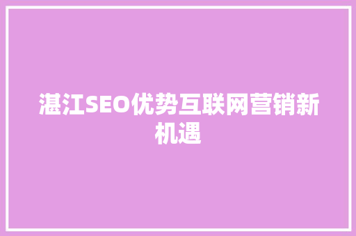 湛江SEO优势互联网营销新机遇