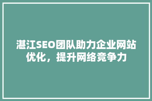 湛江SEO团队助力企业网站优化，提升网络竞争力
