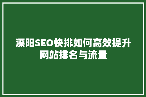 溧阳SEO快排如何高效提升网站排名与流量