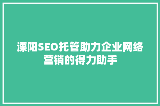 溧阳SEO托管助力企业网络营销的得力助手