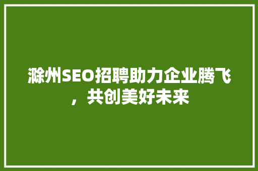 滁州SEO招聘助力企业腾飞，共创美好未来
