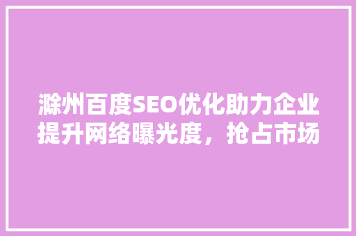 滁州百度SEO优化助力企业提升网络曝光度，抢占市场先机