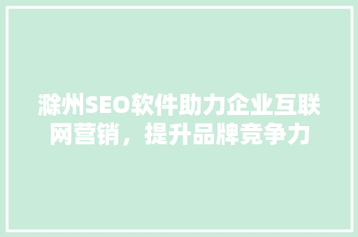 滁州SEO软件助力企业互联网营销，提升品牌竞争力