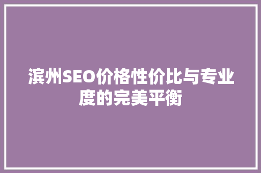 滨州SEO价格性价比与专业度的完美平衡