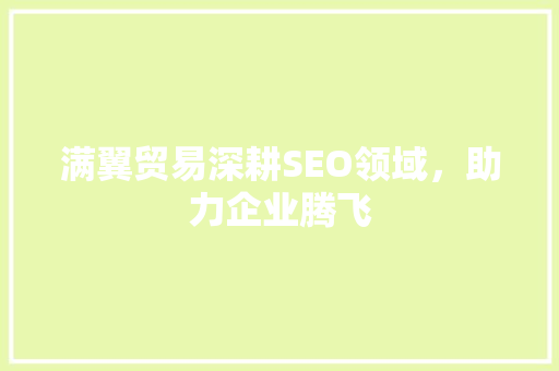 满翼贸易深耕SEO领域，助力企业腾飞