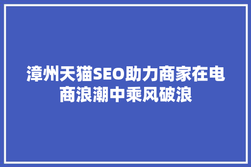 漳州天猫SEO助力商家在电商浪潮中乘风破浪