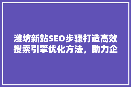 潍坊新站SEO步骤打造高效搜索引擎优化方法，助力企业腾飞