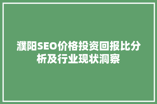 濮阳SEO价格投资回报比分析及行业现状洞察