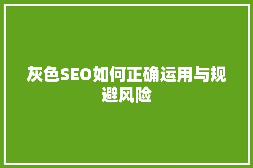 灰色SEO如何正确运用与规避风险