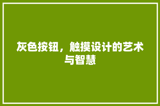 灰色按钮，触摸设计的艺术与智慧