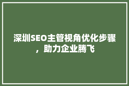 深圳SEO主管视角优化步骤，助力企业腾飞