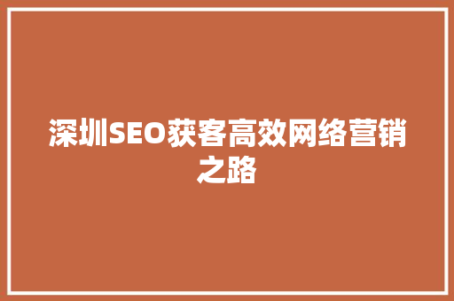 深圳SEO获客高效网络营销之路