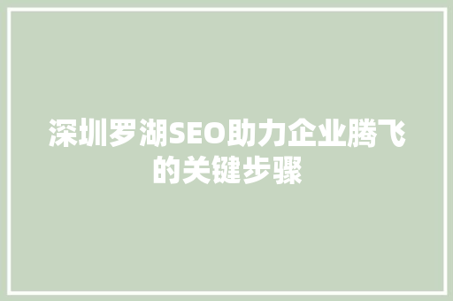深圳罗湖SEO助力企业腾飞的关键步骤