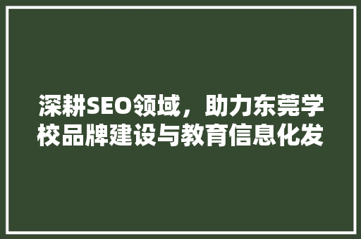 深耕SEO领域，助力东莞学校品牌建设与教育信息化发展