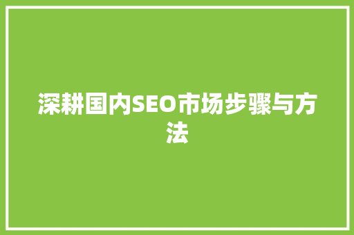 深耕国内SEO市场步骤与方法