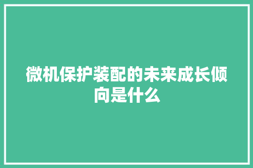 微机保护装配的未来成长倾向是什么