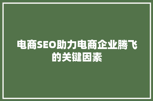 电商SEO助力电商企业腾飞的关键因素