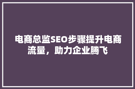电商总监SEO步骤提升电商流量，助力企业腾飞