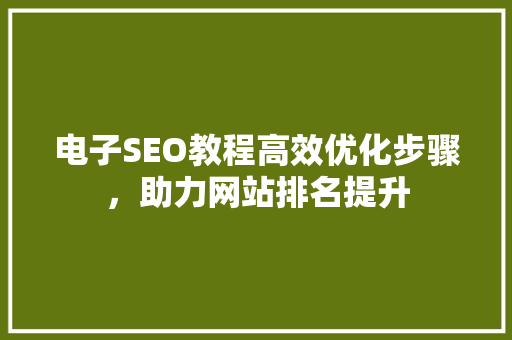 电子SEO教程高效优化步骤，助力网站排名提升
