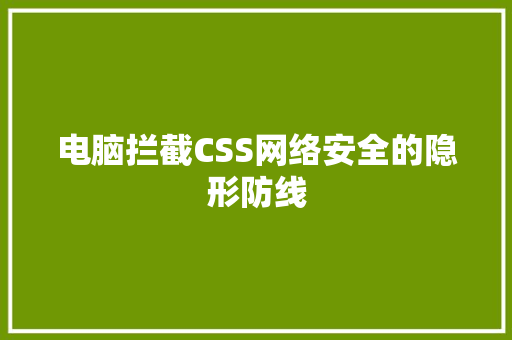 电脑拦截CSS网络安全的隐形防线