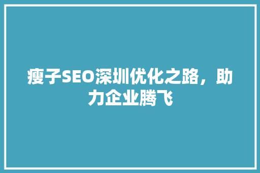 瘦子SEO深圳优化之路，助力企业腾飞