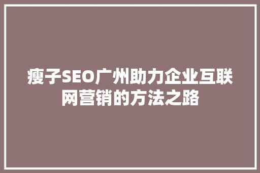 瘦子SEO广州助力企业互联网营销的方法之路