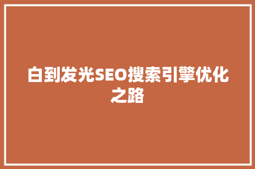 白到发光SEO搜索引擎优化之路