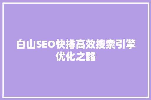白山SEO快排高效搜索引擎优化之路