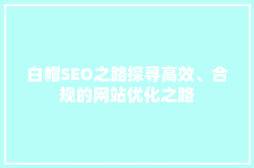 白帽SEO之路探寻高效、合规的网站优化之路
