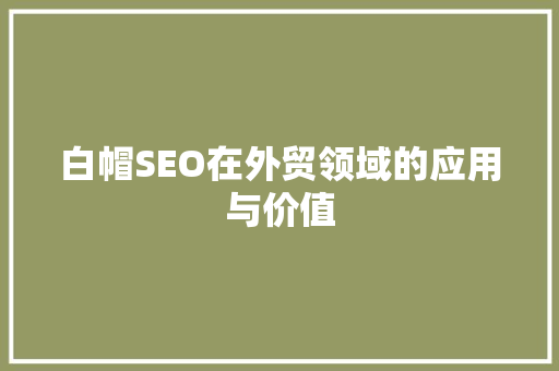 白帽SEO在外贸领域的应用与价值