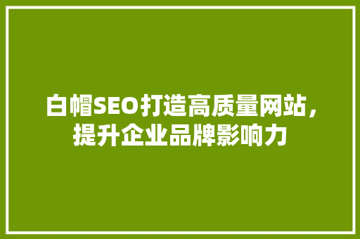 白帽SEO打造高质量网站，提升企业品牌影响力