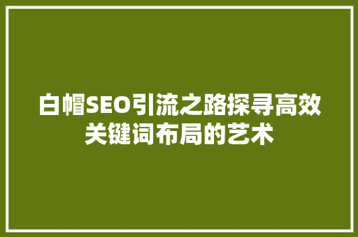 白帽SEO引流之路探寻高效关键词布局的艺术