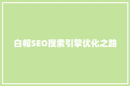 白帽SEO搜索引擎优化之路