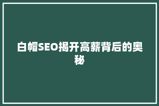 白帽SEO揭开高薪背后的奥秘
