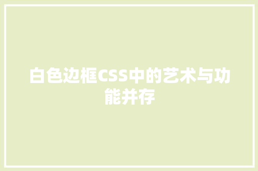 白色边框CSS中的艺术与功能并存